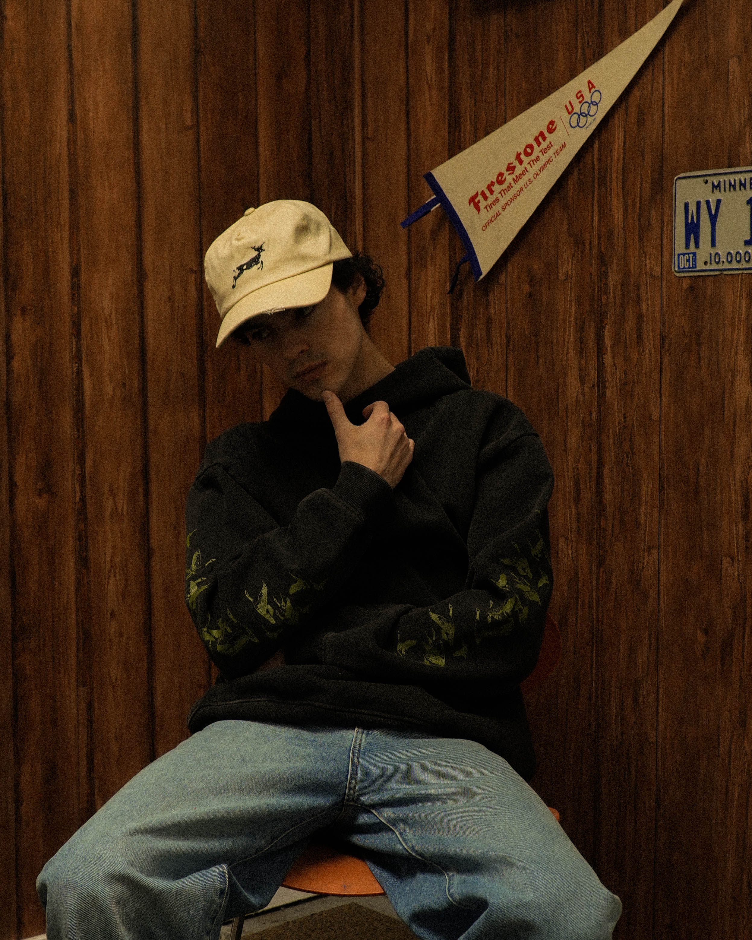 BIRD FLIGHT HOODIE - Image 5
